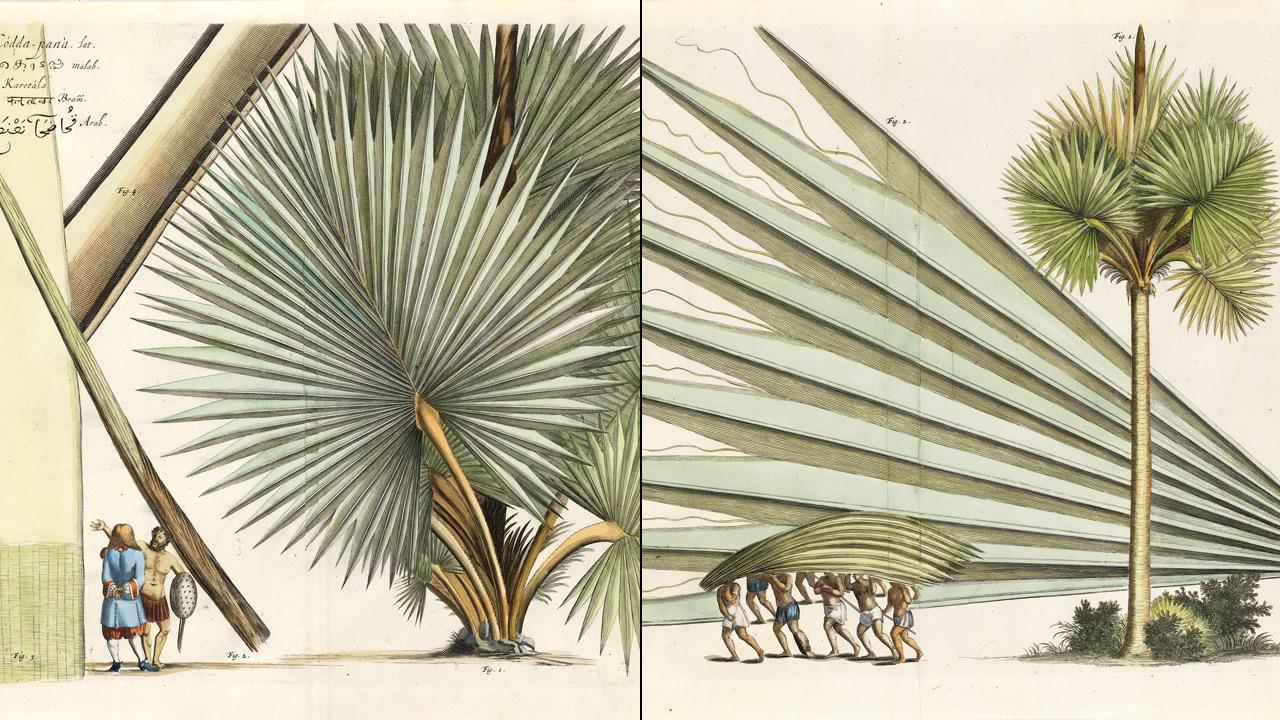 Know more about the history of Indian naturalism at this exhibition in Mumbai