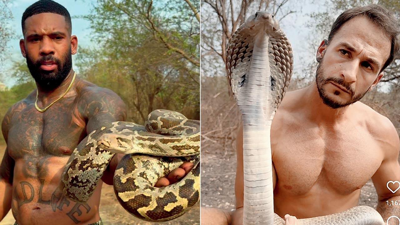 Foreign influencers in dock for handling protected species for social media likes