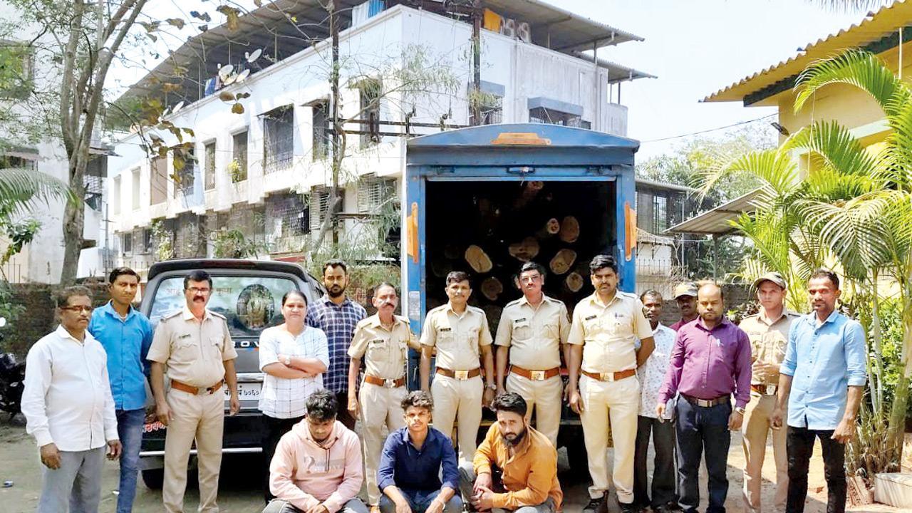 Maharashtra: Forest department seizes 1,800 kg of wood used to make gutka