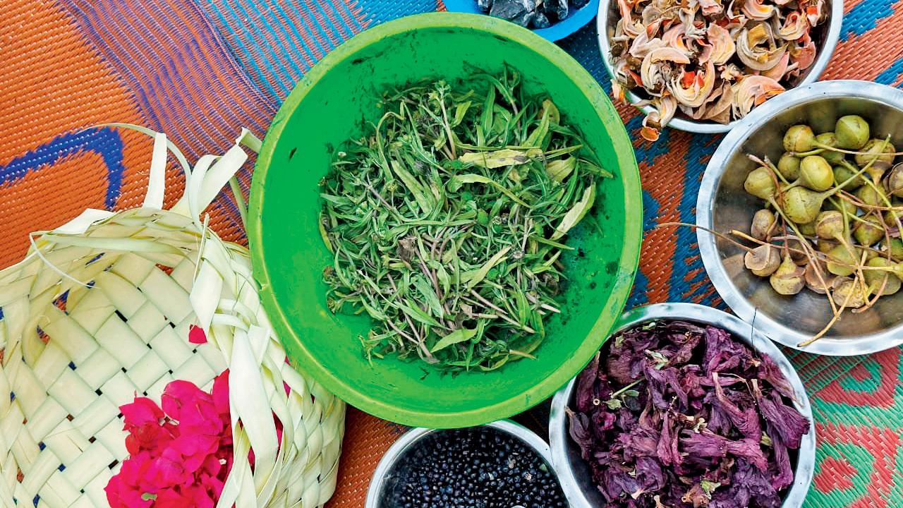 Wild flowers and fruits foraged from the forest