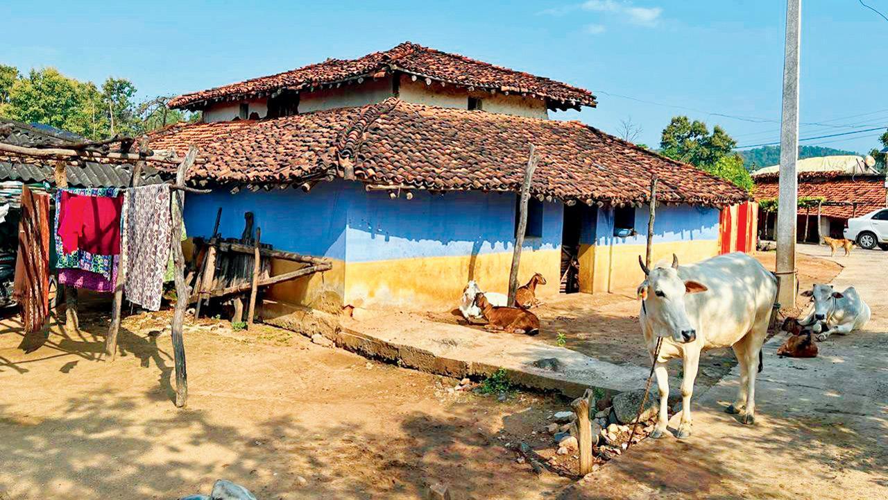 Maharashtra: Villagers in the Pench Tiger Reserve claim they were defrauded of forest land rights