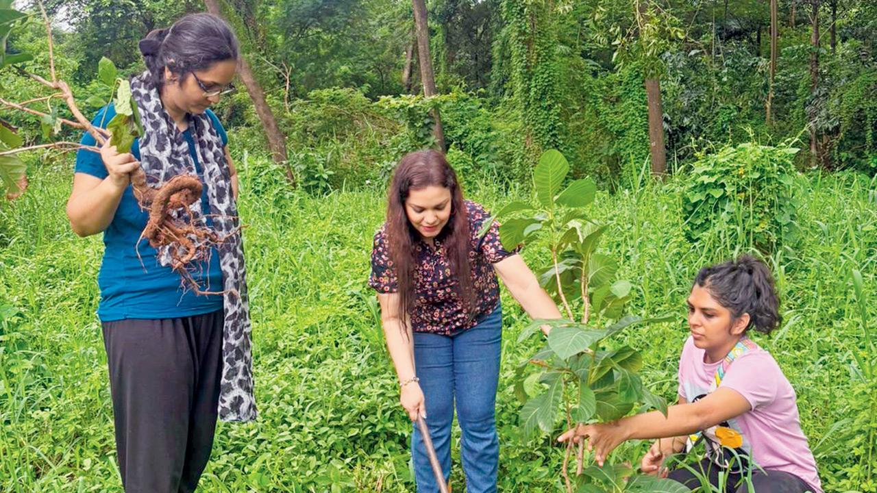 Members plant native plants. PIC COURTESY/APARNA BANGIA