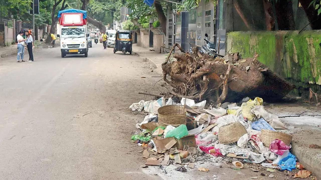 Garbage-free surroundings are a basic civic right