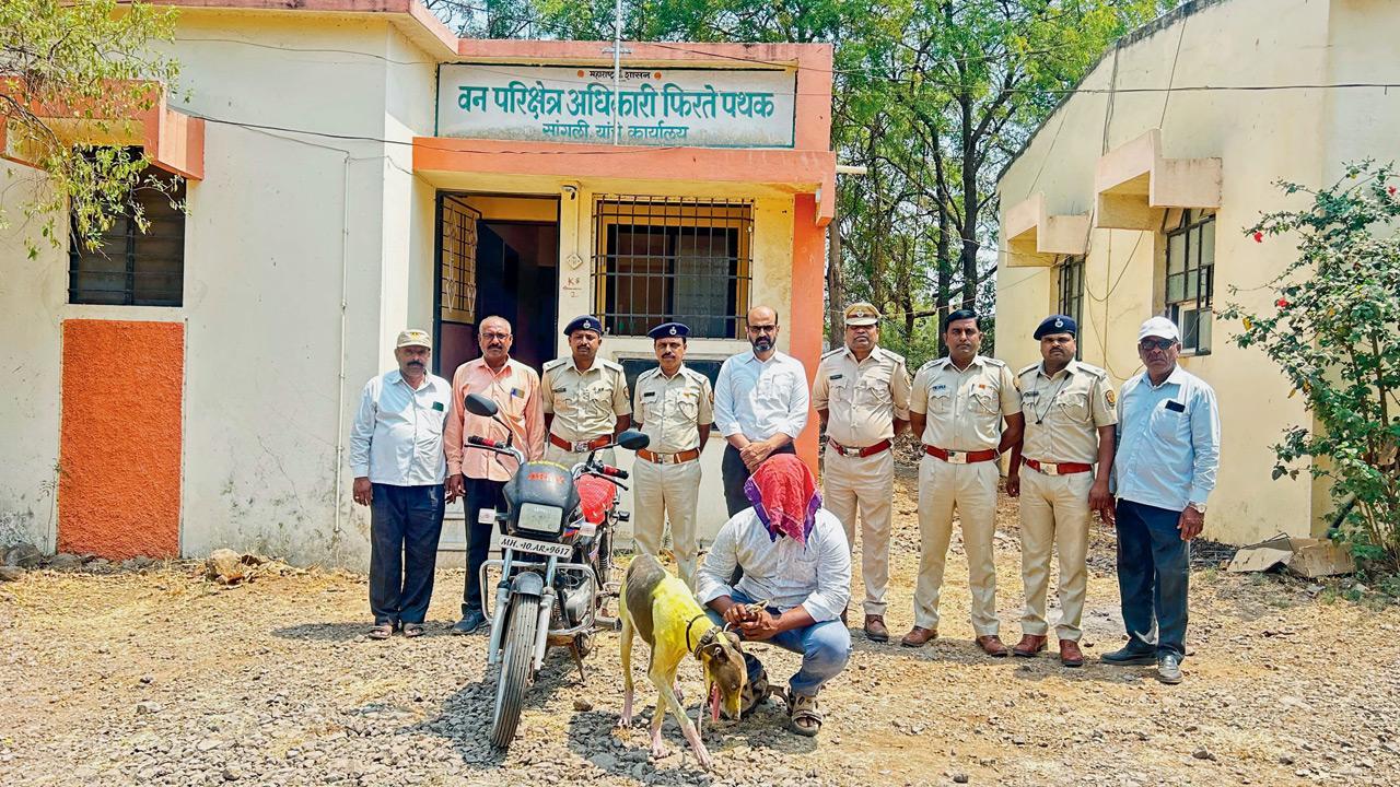Man held for using pet dog to hunt animals in Sangli forest