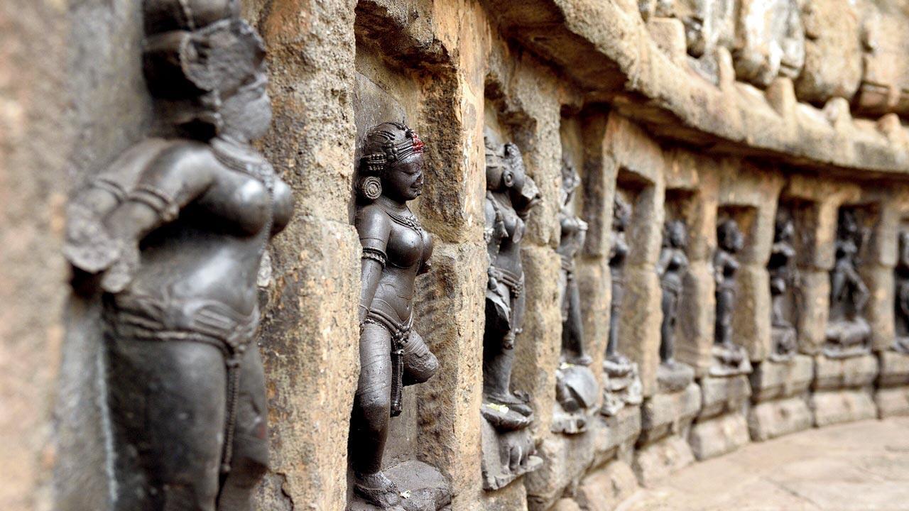 Explore this English translation of a Malayalam novel about women's lives