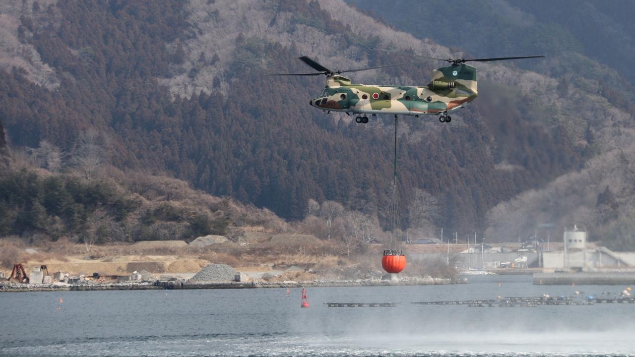 Japan fights forest fire as it damages dozens of homes