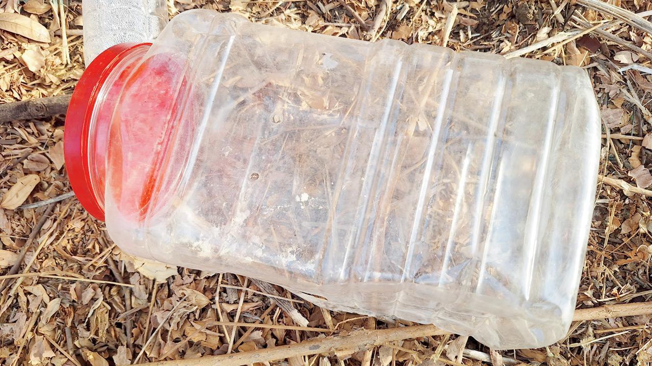 Forest officials probe source of snakes used by foreign influencers