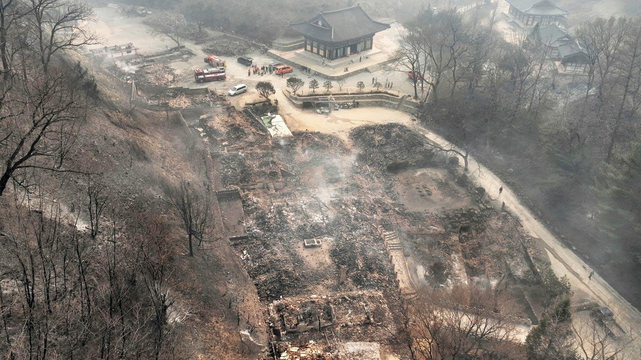 S Korean wildfires toll at 24; 27K evacuated