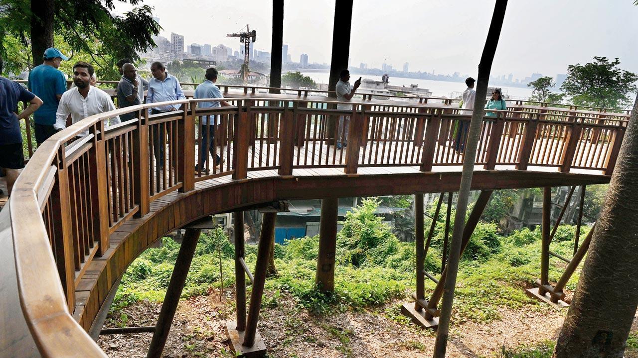 Mumbai’s new elevated nature trail opens at Kamala Nehru Park in Malabar Hill