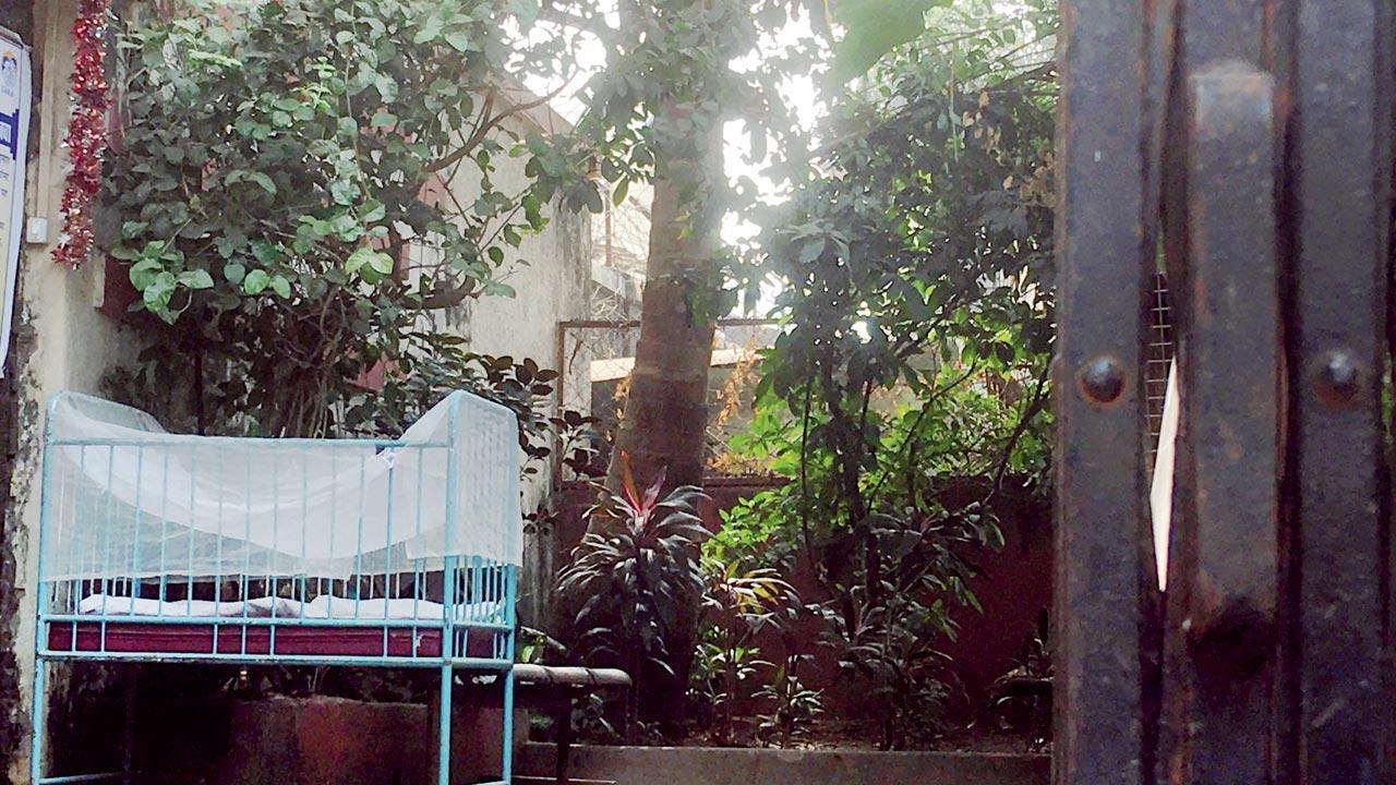 Mumbai’s forgotten mothers–a shadowy chapter of Swiss adoptions