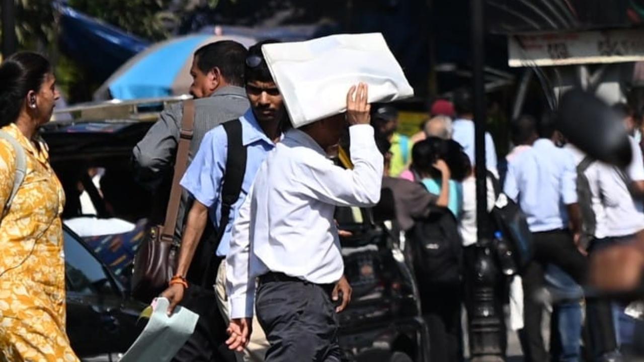 Mumbai weather updates: City records maximum temperature of 34 degrees Celsius