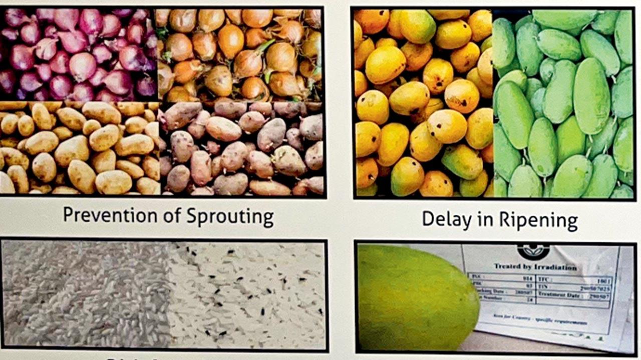 An infographic from the Food Irradiation section 