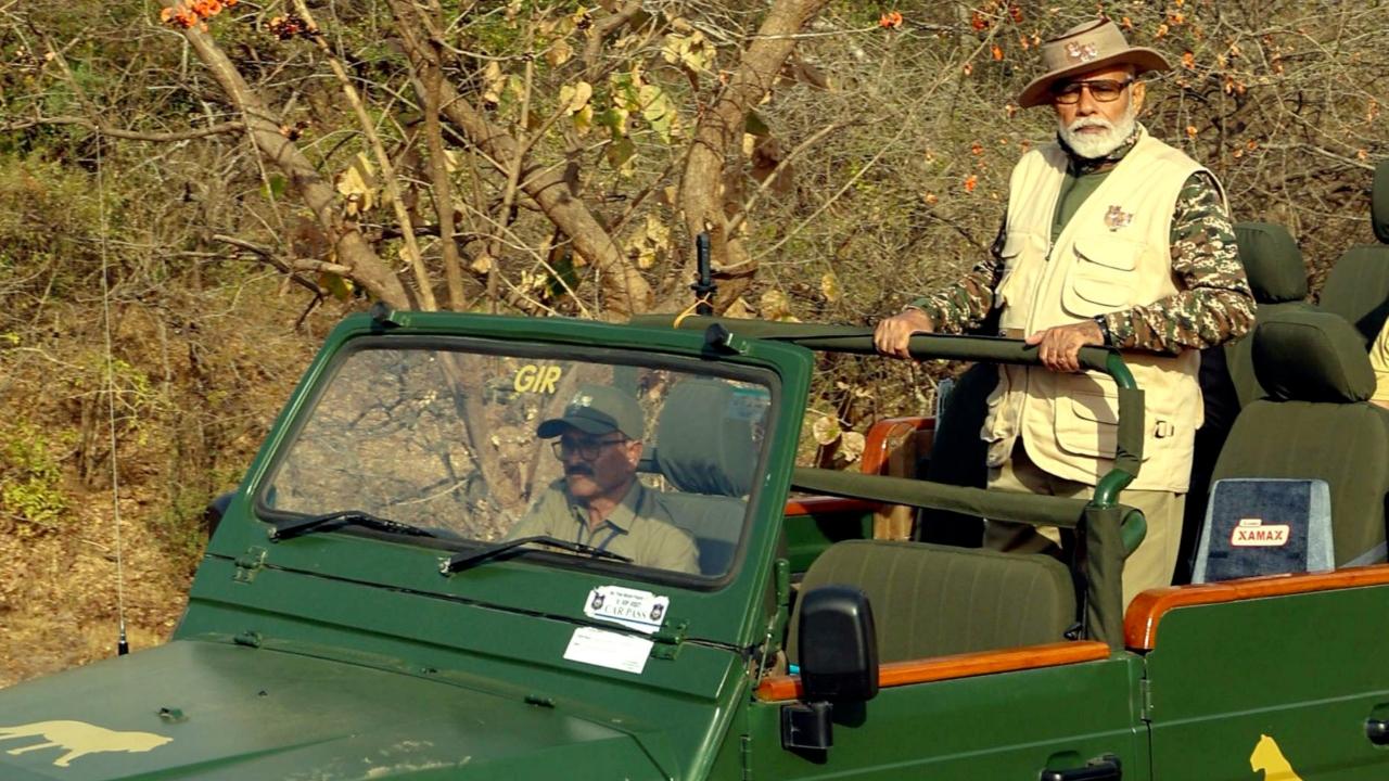 In 2024, 237 beat guards (162 men and 75 women) were recruited in Gir to patrol protected areas and safeguard lion habitats