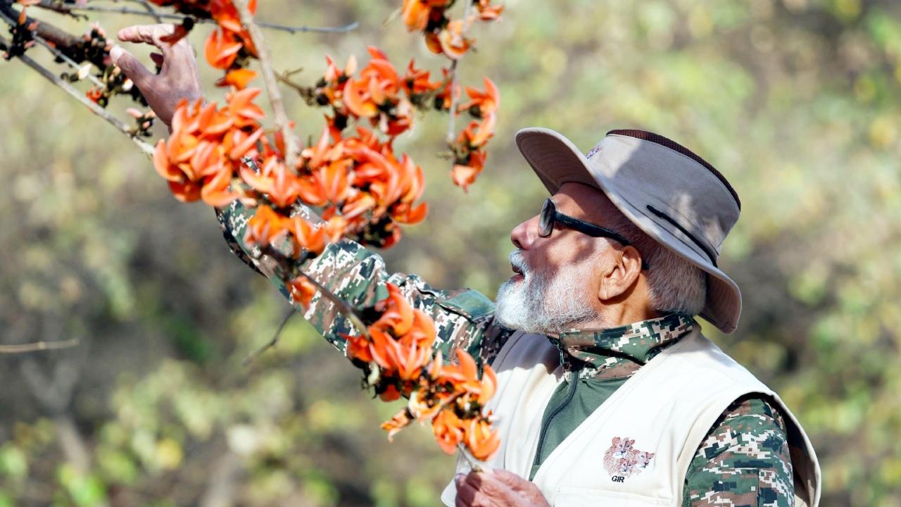 PM Modi was seen donning a safari outfit and holding a camera to capture glimpses of Gir's Asiatic lions