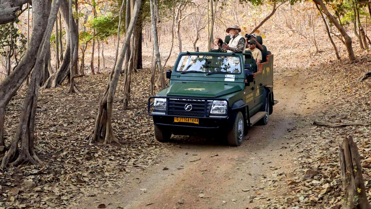 The Prime Minister introduced the concept of Bruhad Gir, expanding the conservation focus beyond Gir National Park and Sanctuary to cover a 30,000 sq. km area from Barda to Botad, where Asiatic lions are found. With the development of Greater Gir, he also ensured the welfare and progress of local communities