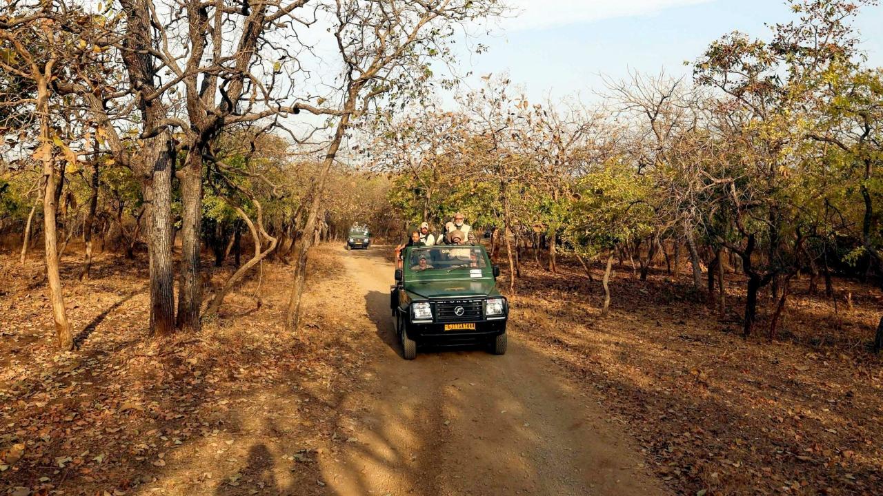 In 2007, he personally visited the Gir forest to assess the ground realities and gather insights. Following this, he spearheaded transformative initiatives aimed at the holistic development of the Gir region, the conservation of lions, and the preservation of its rich biodiversity, the release stated