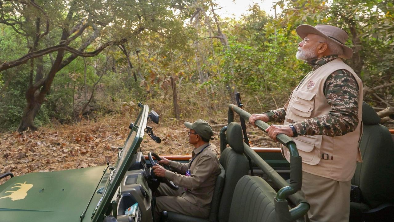 For the protection of Asiatic lions in Sasan Gir and the overall development of the Gir region, the then Chief Minister of Gujarat and current Prime Minister, Narendra Modi, played a pivotal role