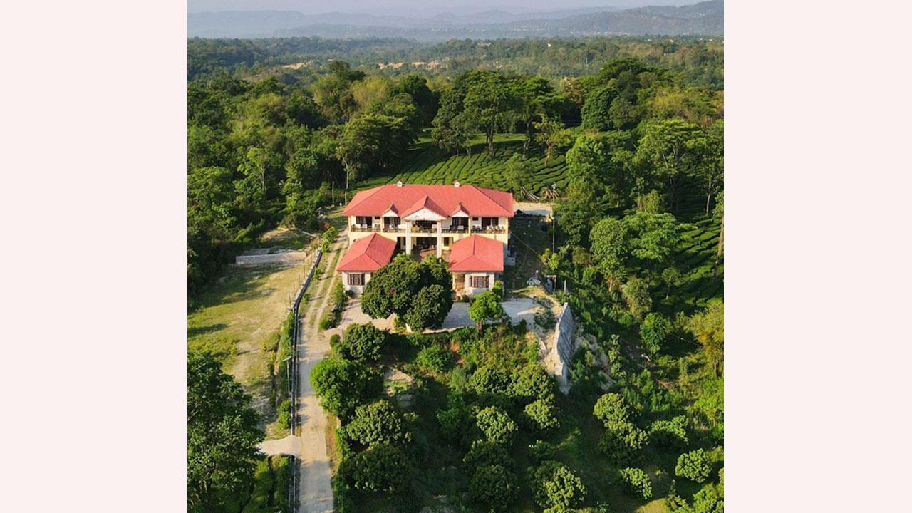 Stay, Play, Repeat: The Ultimate Pickleball Retreat at Seclude Palampur