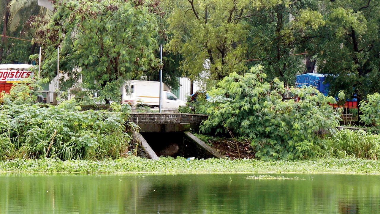 In two years, Mumbai to get a clean and sewage-free Powai lake