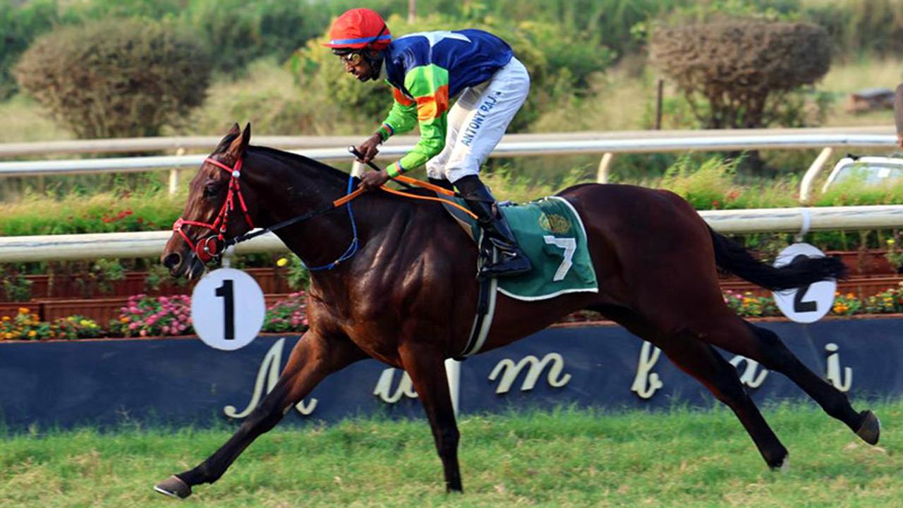 Champion colt Stormy Sea (Antony Raj up)in full flow at Mahalaxmi on Sunday