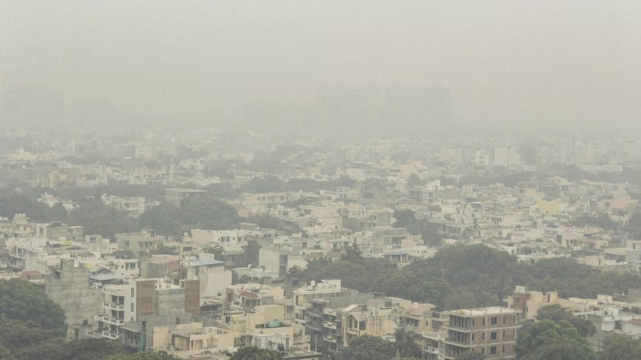35 per cent of Indian cities reported annual PM2.5 levels exceeding 10 times the World Health Organization (WHO) limit of 5 micrograms per cubic metre, as per The World Air Quality Report 2024 by Swiss air quality