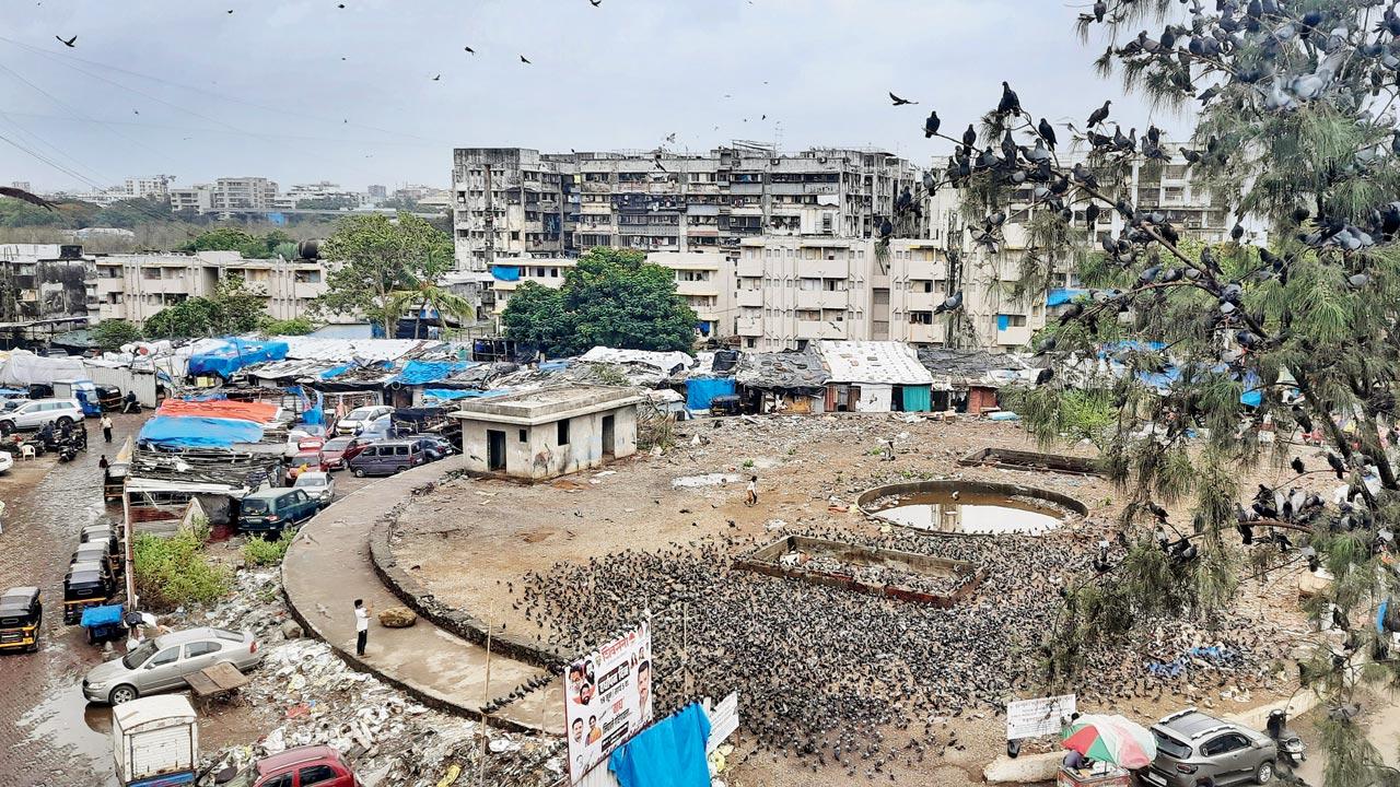 Before: The land parcel filled with garbage was a breeding ground for mosquitoes. Pic/Shailesh Bhatia