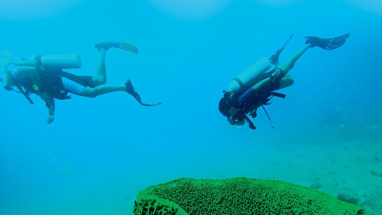 Planning your summer vacation? Here's why you should visit Andaman Islands
