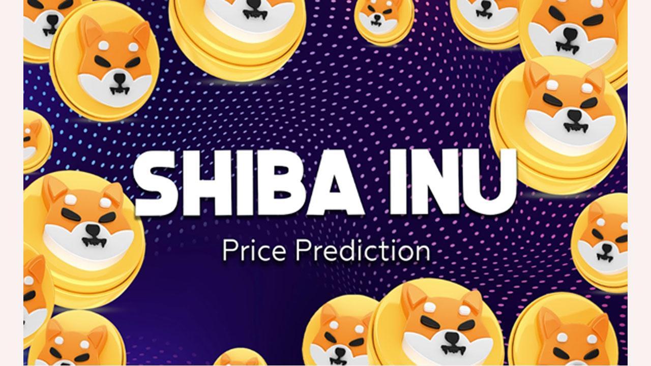 Shiba Inu Price Prediction: What the Charts Reveal About Its Future