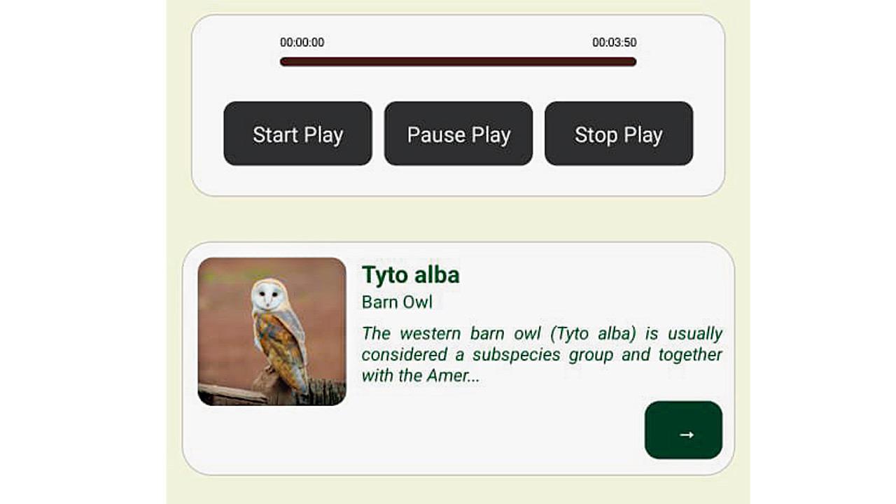 Explore this unique app that lets you discover birds in your neighbourhood