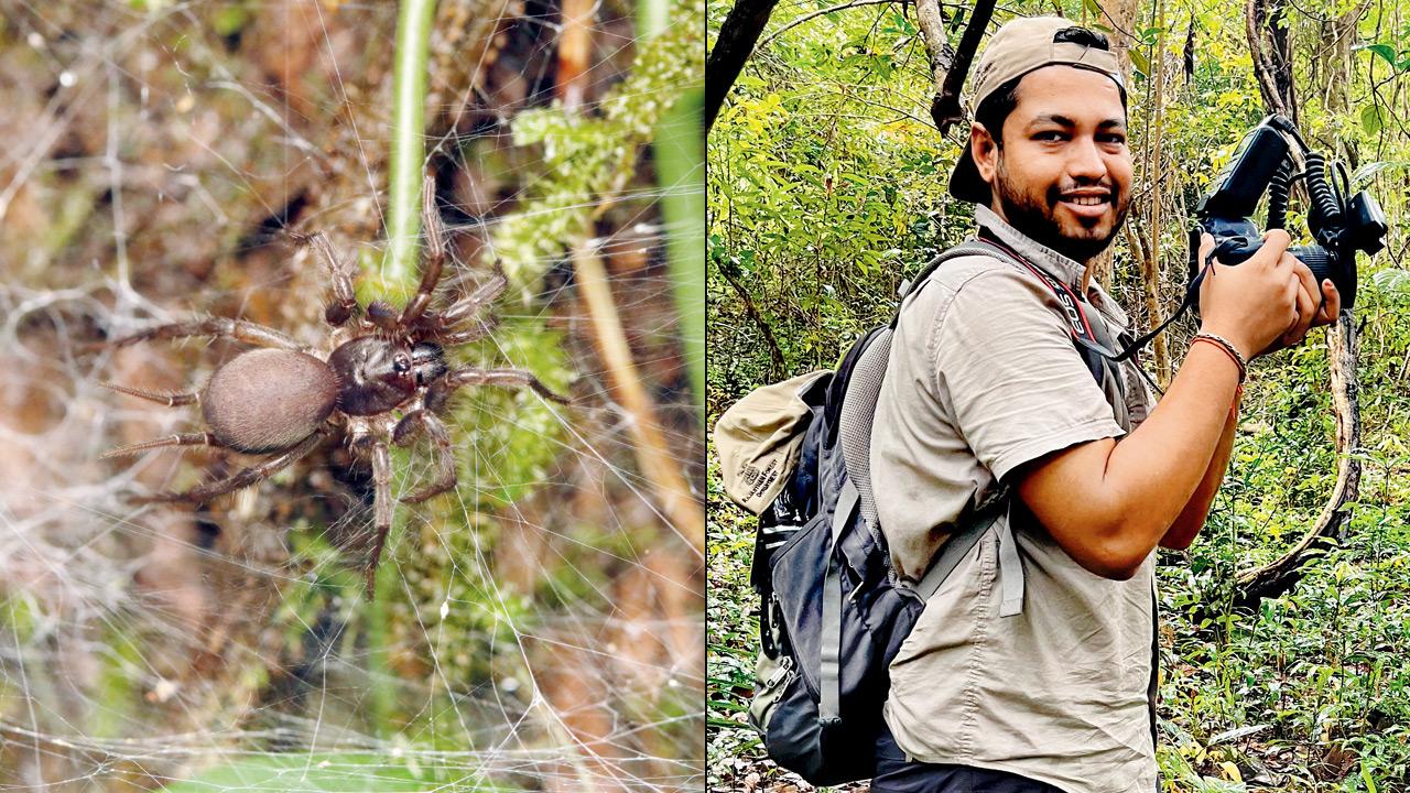 The arachnid, discovered by Rishikesh Tripathi (right)