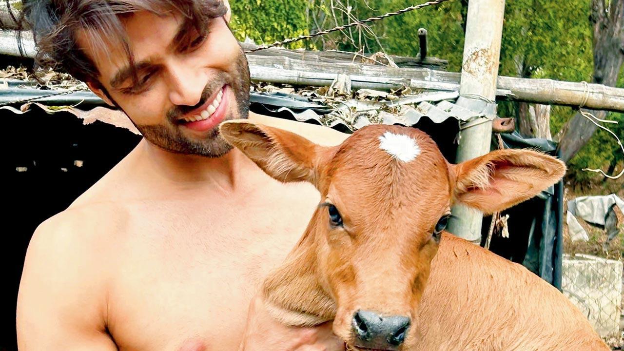 Telly Tattle: Srikant Dwivedi adopts a cow