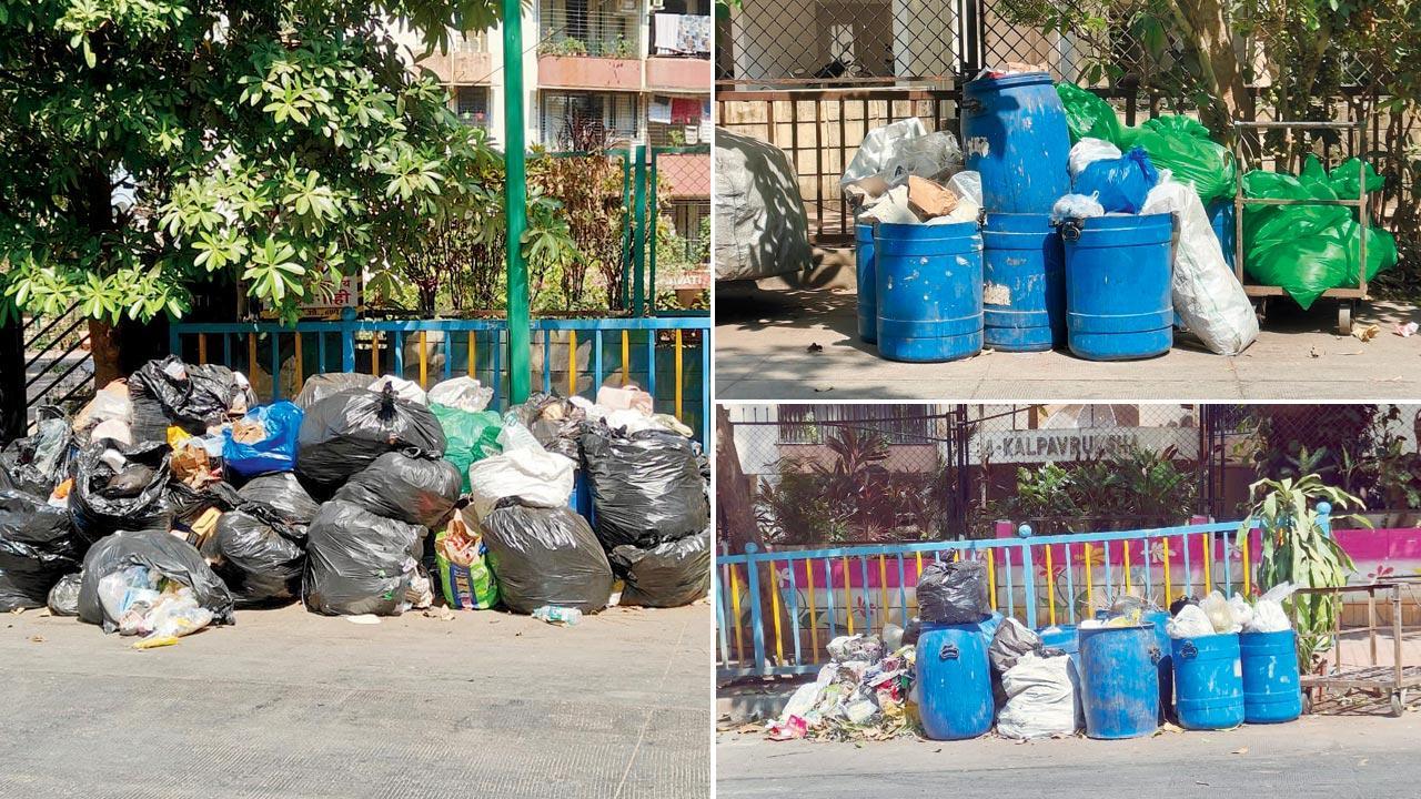 Thanekars fume over garbage crisis; 11,000 tonnes cleared, claims TMC