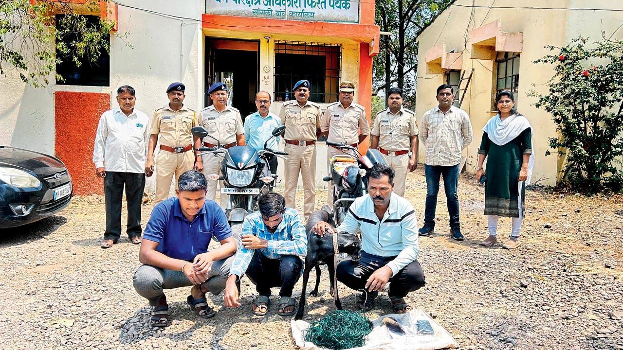 Three more arrested for using dogs to hunt wildlife in Maharashtra