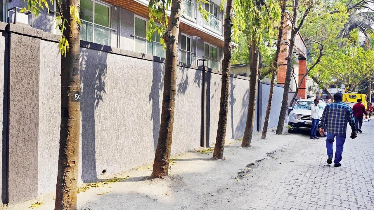 Contractors must ensure no harm comes to trees