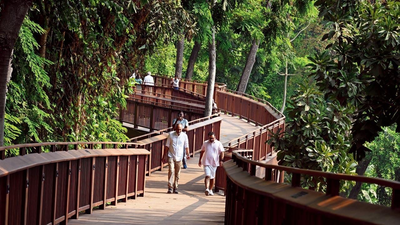 Trail ‘n’ hearty at the forest walk on Sunday morning. Pic/Atul Kamble