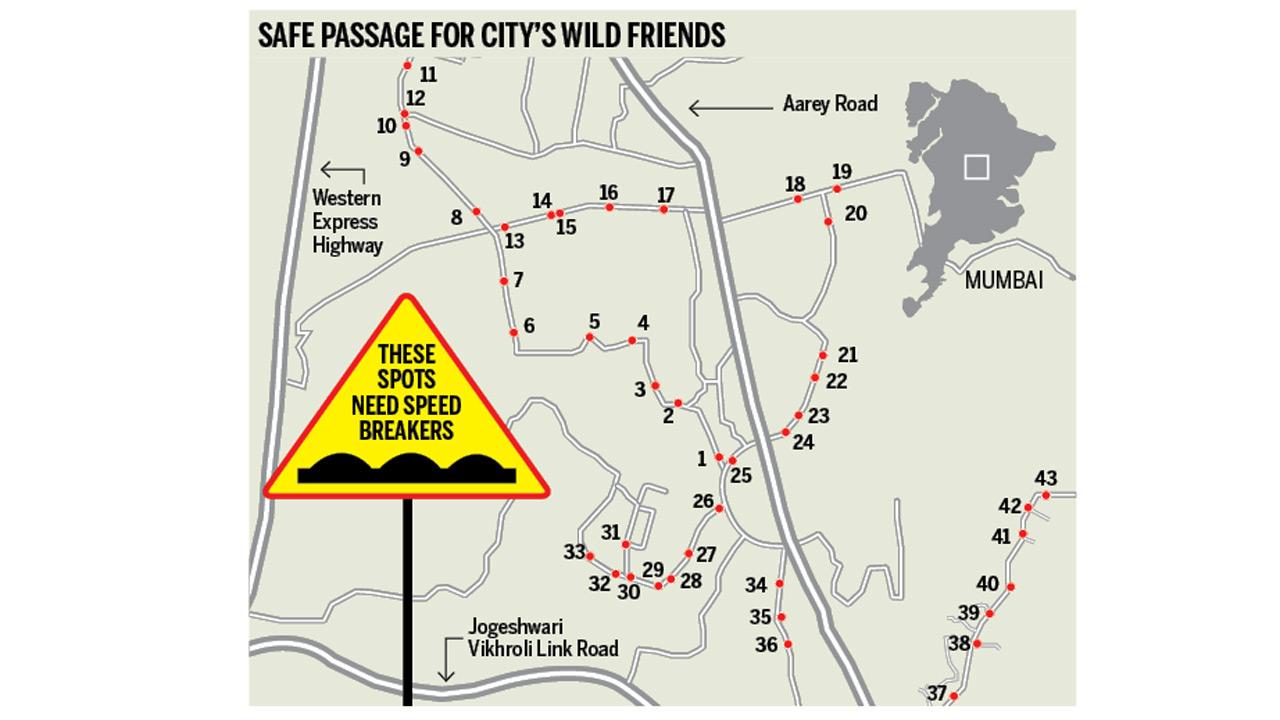 43 locations identified by UJFMC where wild animals frequently cross the road inside Aarey colony.Graphic/Yogesh Jain