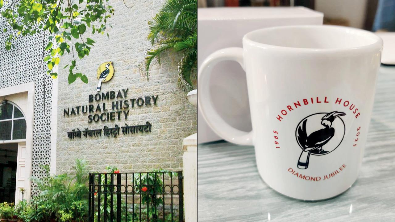 The coffee mug (right) The Hornbill House in Fort. File Pic
