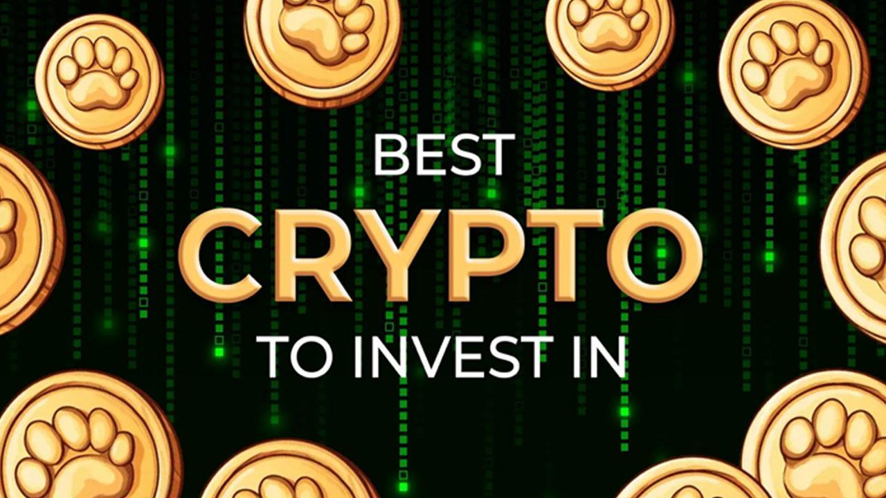 Crypto to Invest In: Which 3 Coins Offer the Best Long-Term Potential?