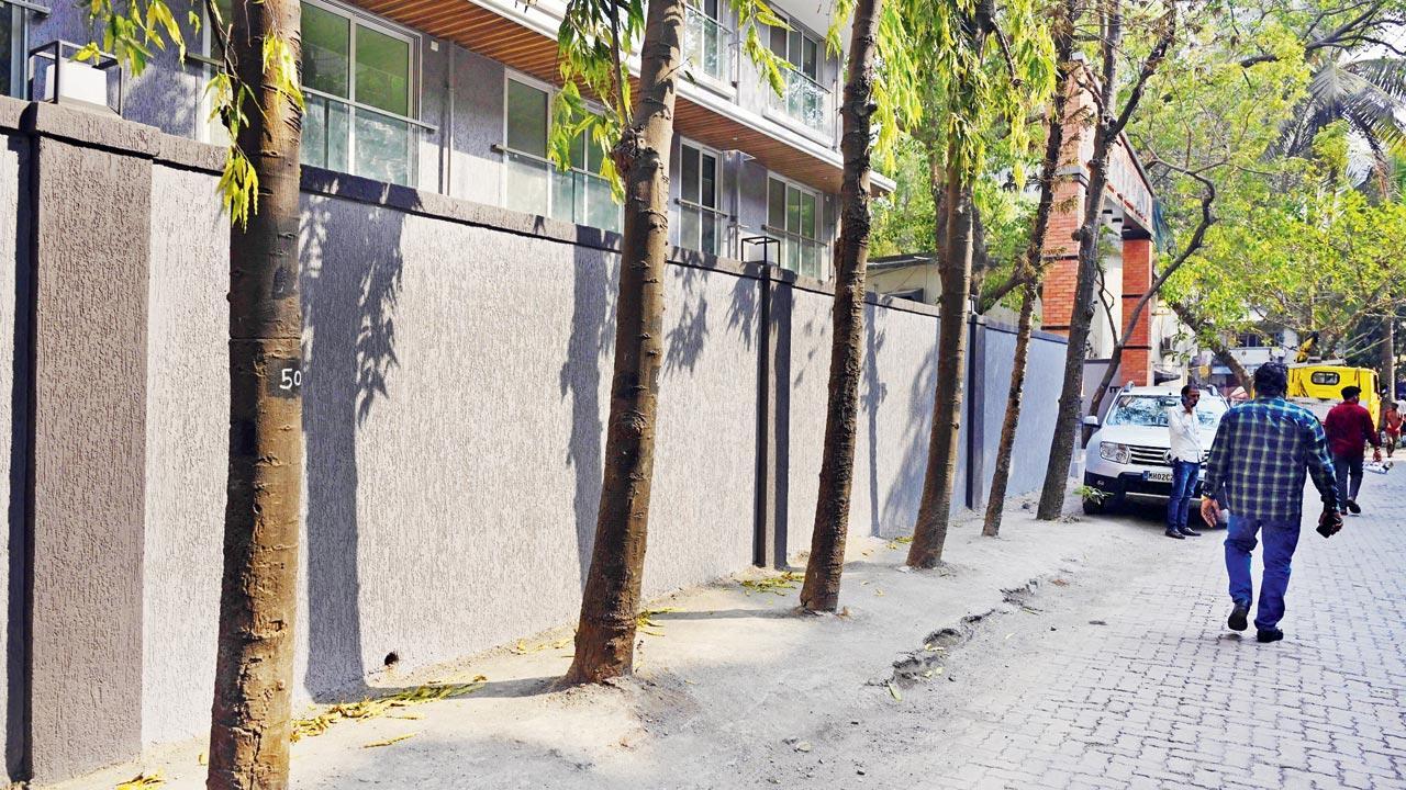 Mumbai: BMC issues 318 notices to civic depts over tree damage