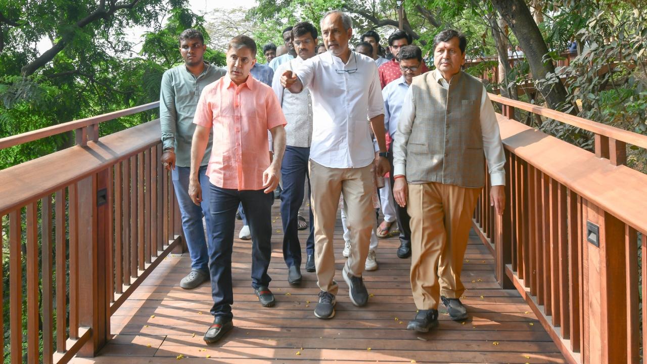 The trail was designed to minimize any harm to the natural surroundings, with pathways developed through trees, allowing visitors to walk above the forest floor, the officials said