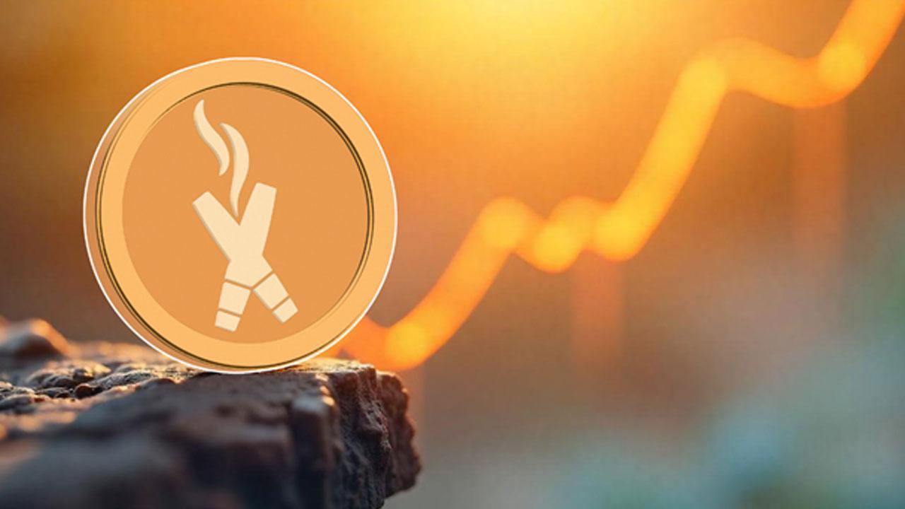Crypto Presale in 2025-Why DexBoss Leads the High-Growth Opportunities!