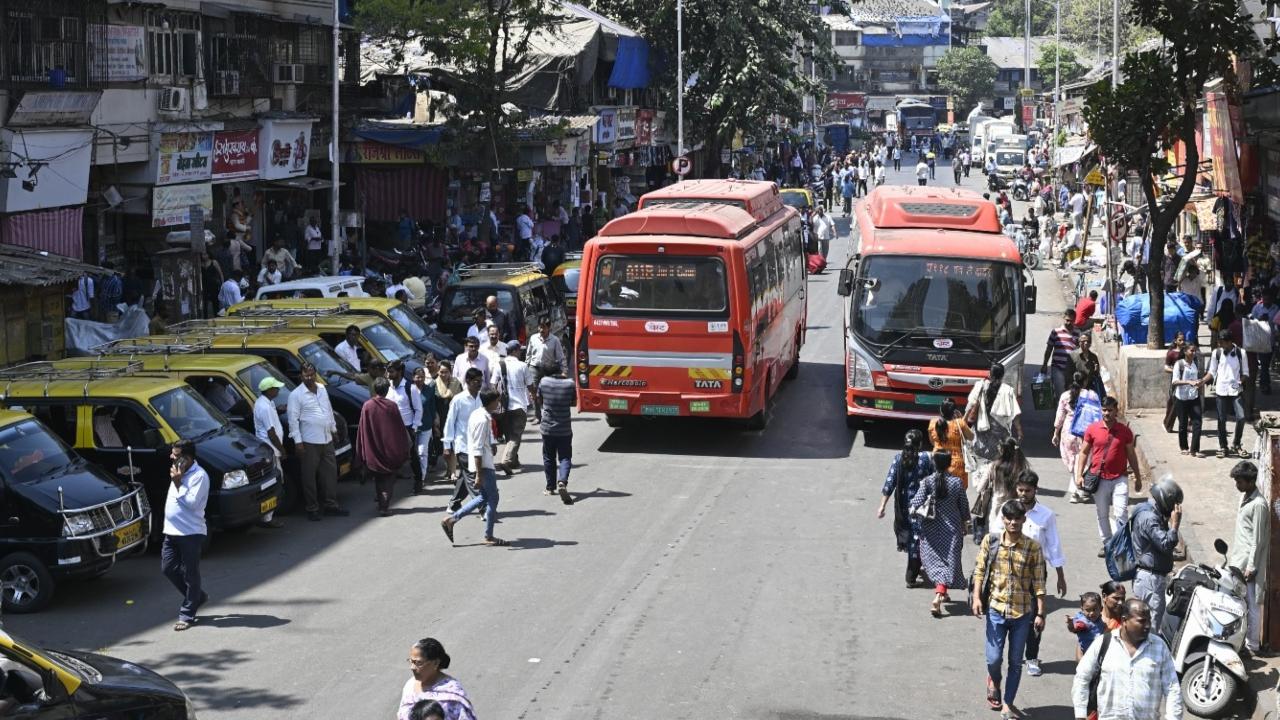 Earlier, the bench directed BMC to continue taking action at the test case site and also initiate action at all 20 sites