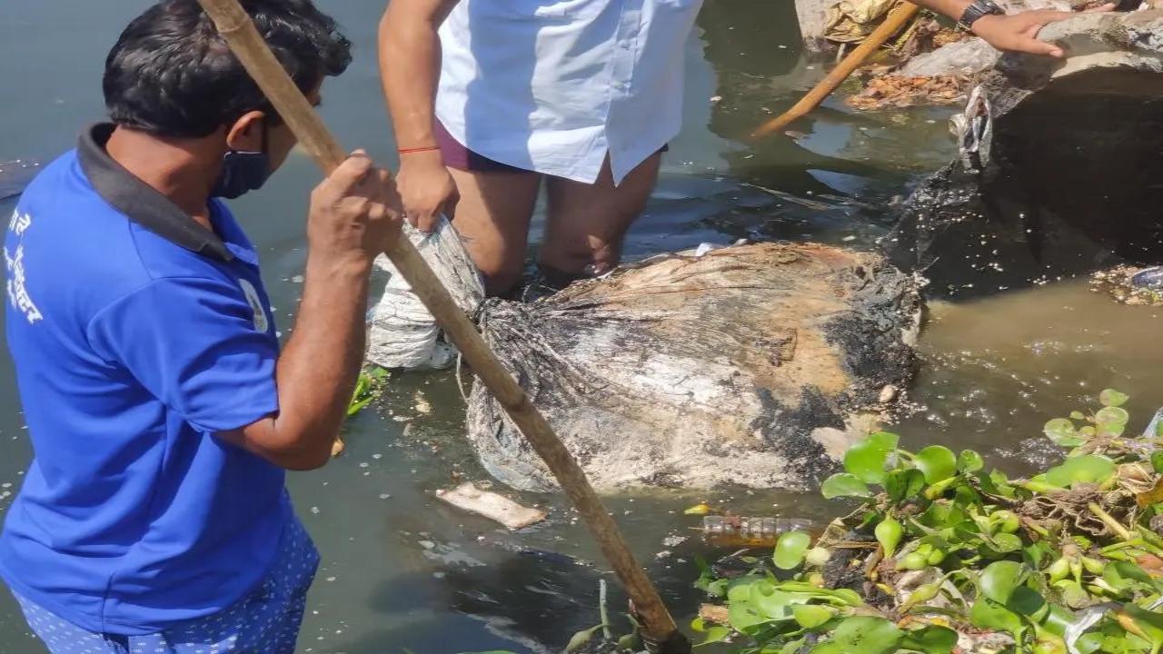 Suitcase murder: Police recover torso days after finding severed head in Virar