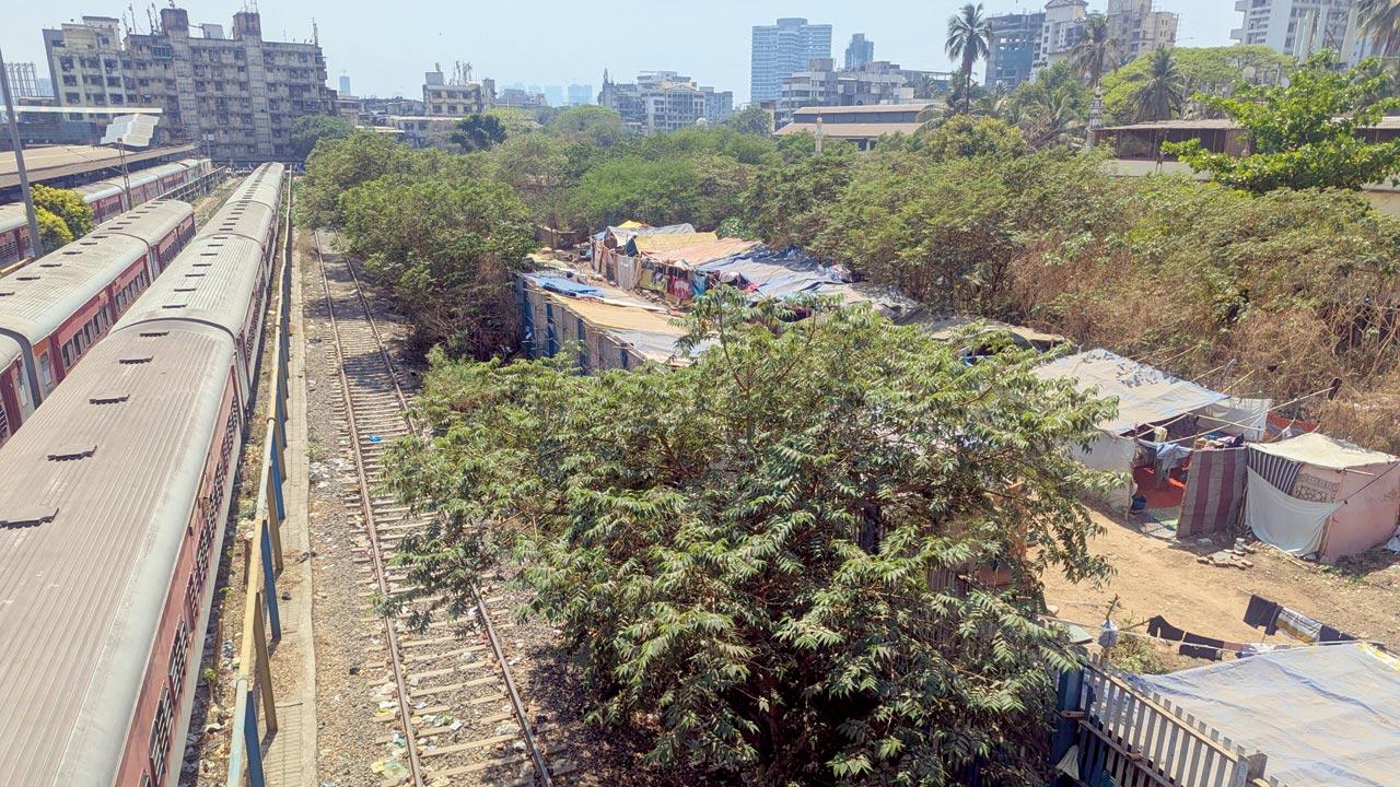 The settlement along the abandoned fifth and sixth railway corridor in Bandra East. Pics/Rajendra B. Aklekar