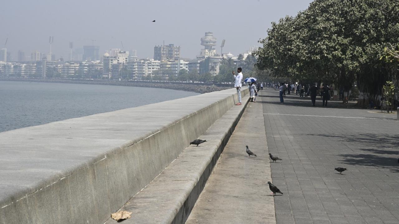 As per the IMD alert, hot and humid conditions at isolated places in Mumbai were likely on March 10