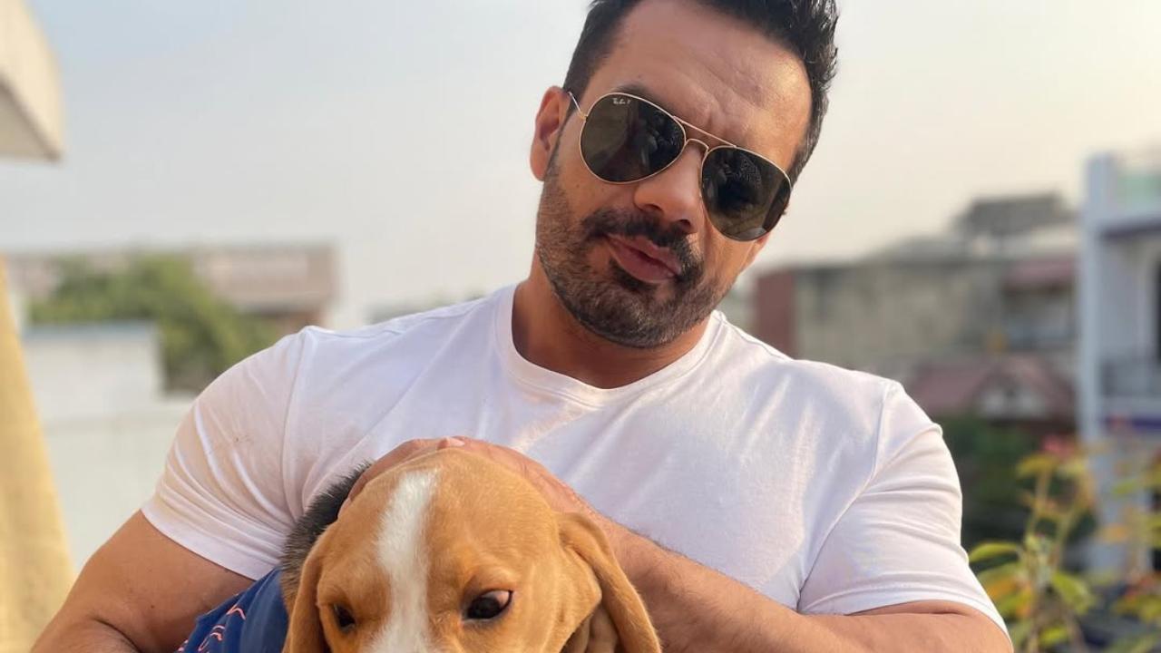 Gaurav Taneja aka Flying Beast faces internet’s fury for abandoning pet dog: ‘Laye bhi vlogs ke liye the ab…’ Read more