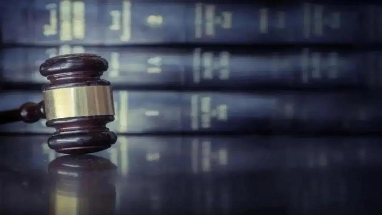 Uttarakhand HC stays felling of 3,000 trees for road widening
