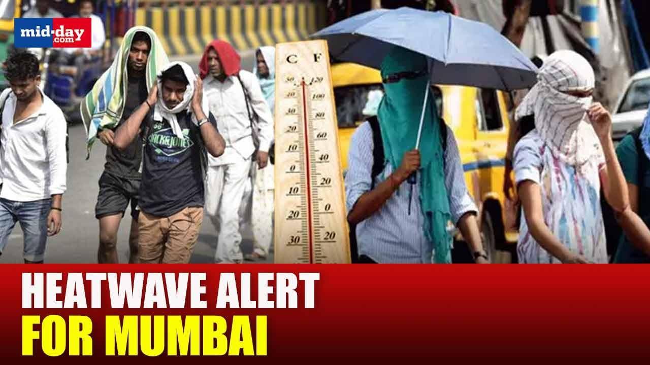 IMD issues heatwave alert for Mumbai, Thane, Ratnagiri and Raigad this weekend