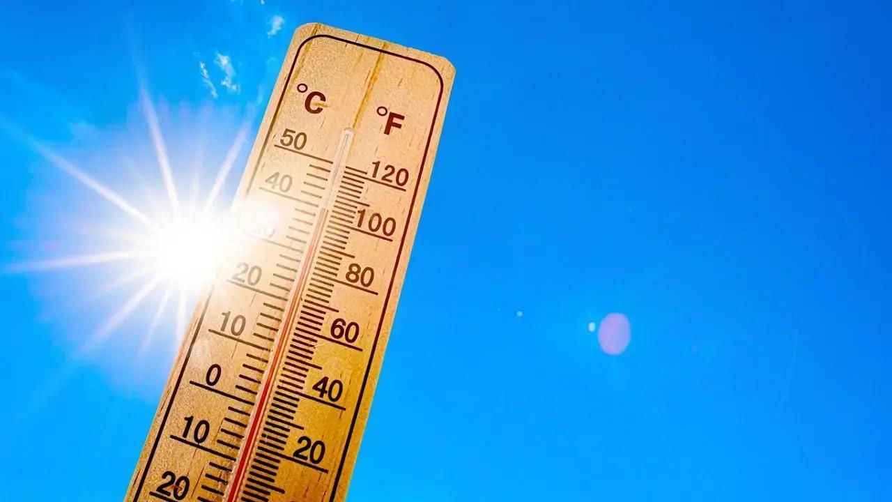 Cities expected to face growing risk of fires due to climate change: Researchers