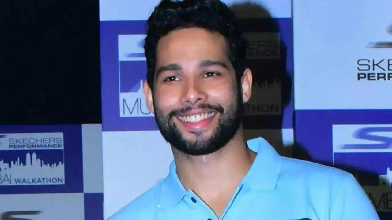 What Siddhant Chaturvedi learnt from Alia Bhatt and Deepika Padukone's careers